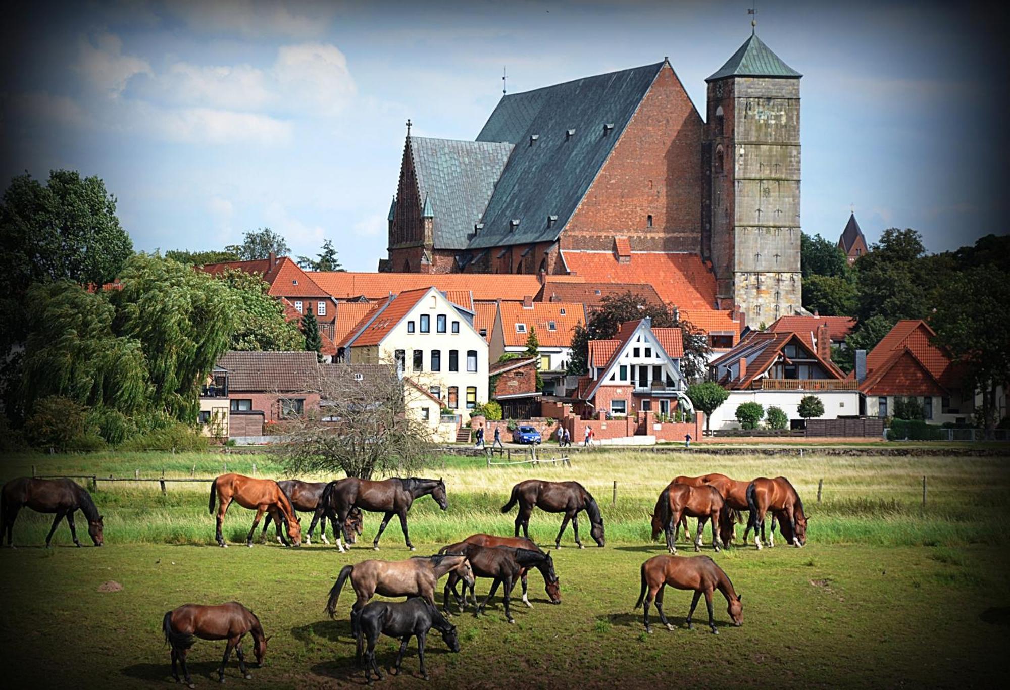 Landhotel Zur Linde Verden an der Aller Esterno foto